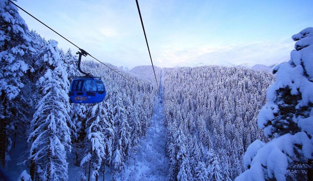 Green Life Bansko, 1 Bedroom Private Apartment D4 Εξωτερικό φωτογραφία